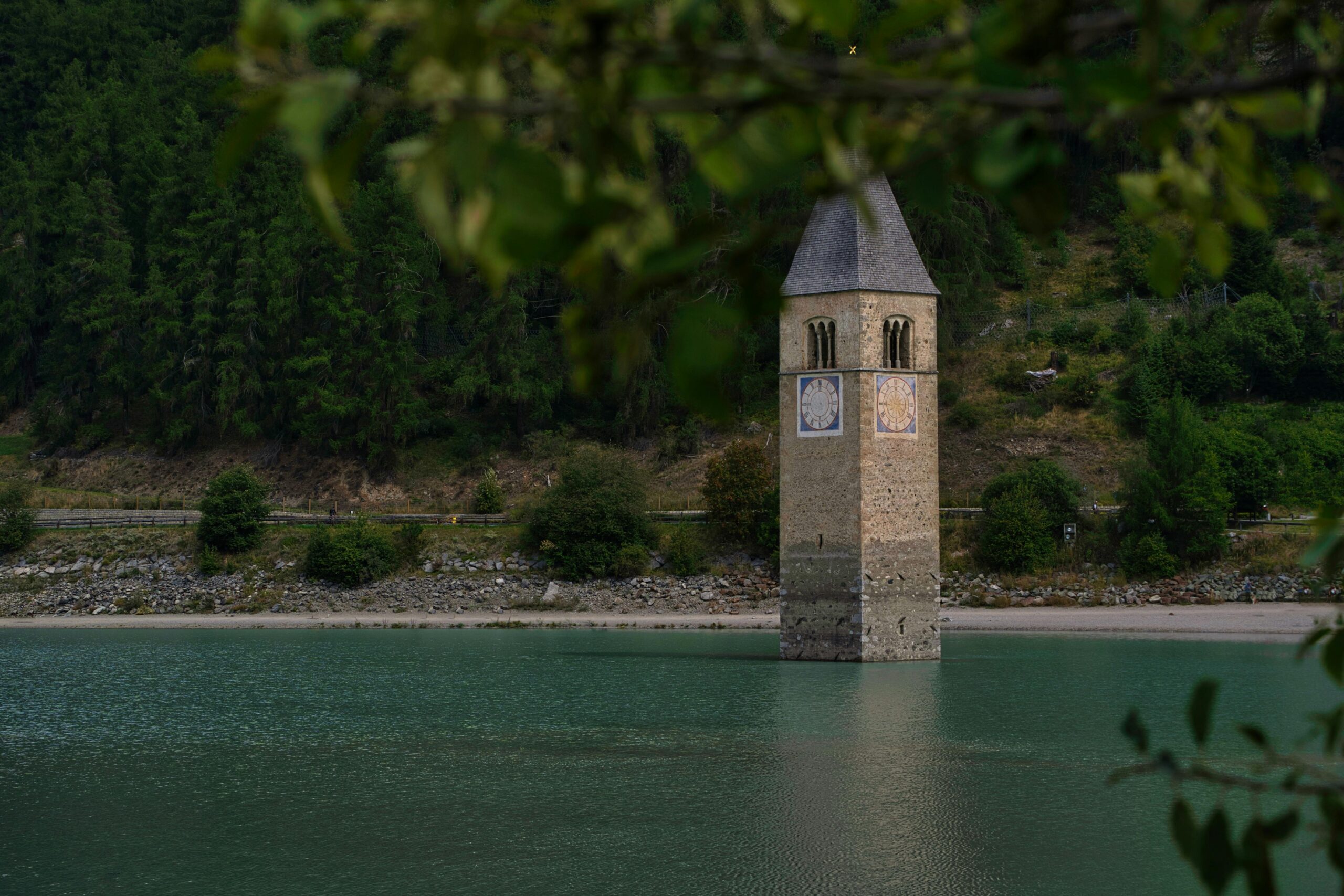 pexels-wolfgang-schett-239175542-13284920