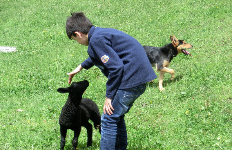 Bild_14_Am_Lechtlhof_koennen_die_Kinder